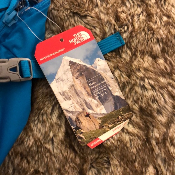 The North Face backpack. main image 5